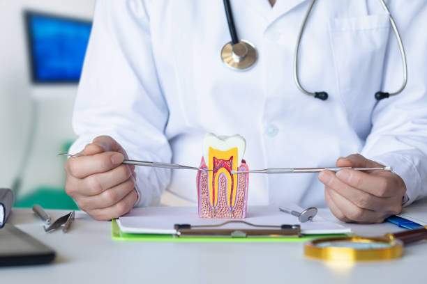 Best Emergency Dentist for Lost Fillings or Crowns in Pymatuning Central, PA